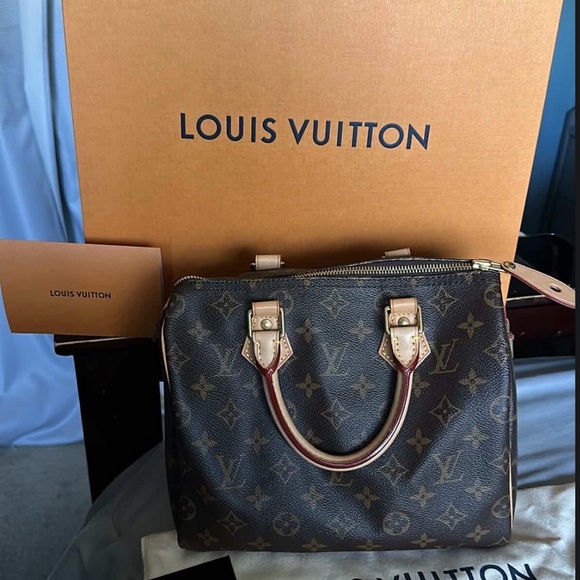 Louis Vuitton Classic Brown Satchel - Picture 1 of 3